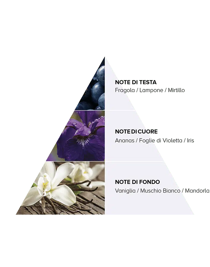 Cotril_Icy-Blond_Product_Pyramid-olfactory.png