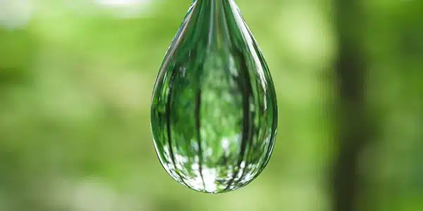 Cotril REGENERATION PREPARING SHAMPOO